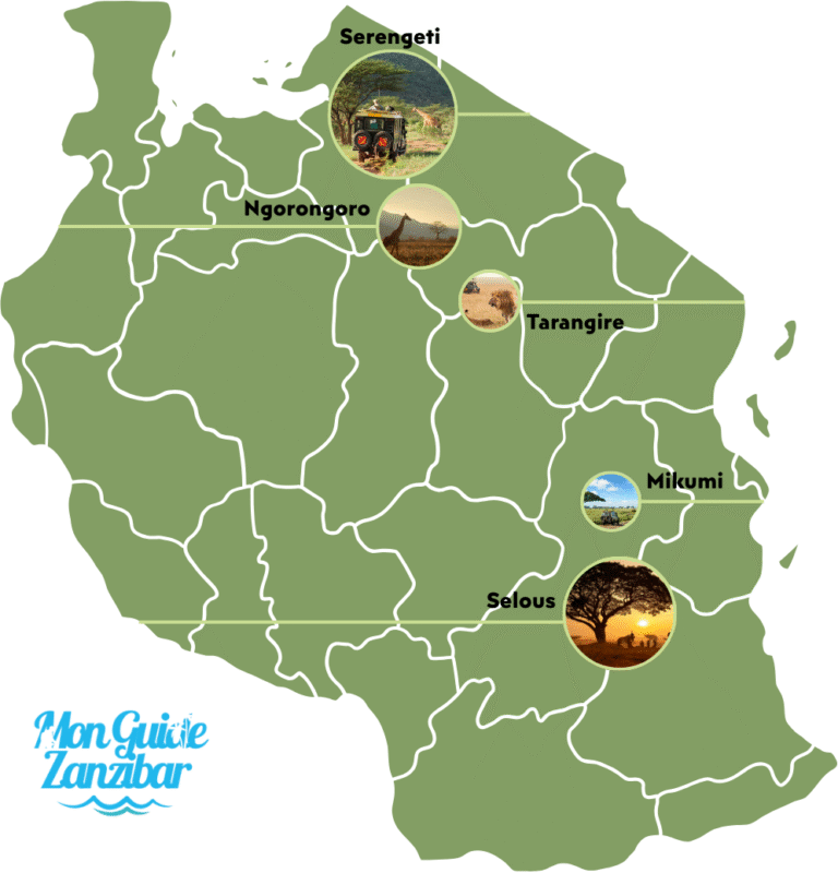 Carte Tanzanie