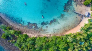 Excursions à Zanzibar