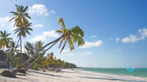 Ce qu’il faut éviter à Zanzibar
