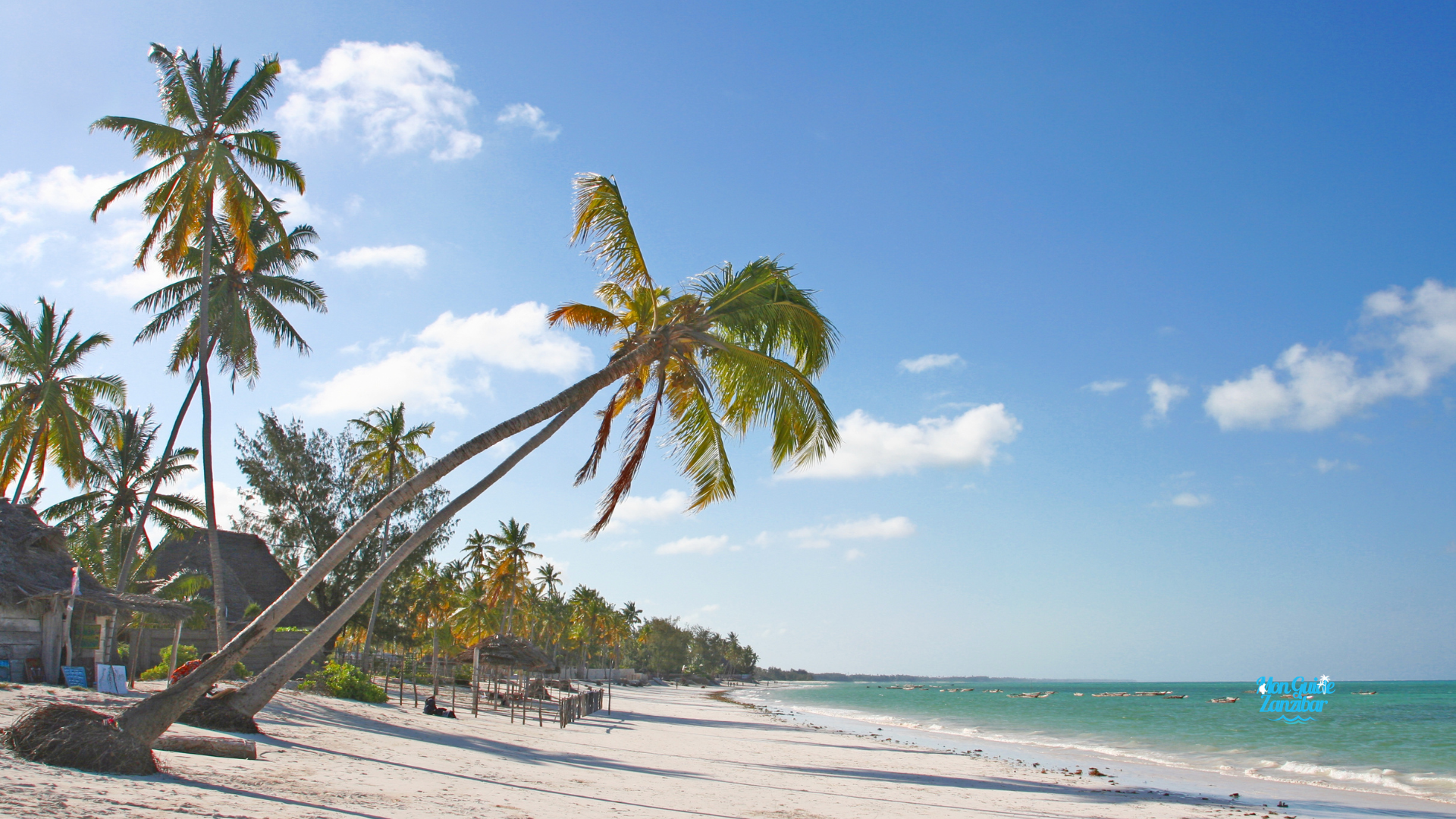 Ce qu’il faut éviter à Zanzibar